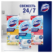 Стикер для очищения унитаза Domestos, 3*10г, картонная коробка, в ассортименте
