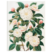  Бизнес-блокнот А5, 80л., BG "Цветы", матовая ламинация, тиснение фольгой