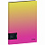 Папка с 10 вкладышами Berlingo "Radiance", 17мм, 600мкм, с внутр. карманом, желтый/розовый градиент