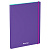 Папка с 30 вкладышами Berlingo "Raze" А4, 17мм, 600мкм, с внутр. карманом, на резинке, фиолетовая, софт-тач